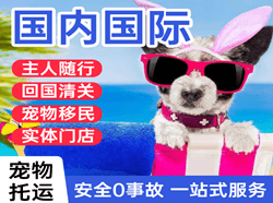 陇南成县国际宠物托运 【国